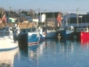 boats-in-harbour
