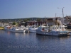 boats-in-the-harbour